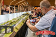 Great Electric Train Show October 12/13 2024