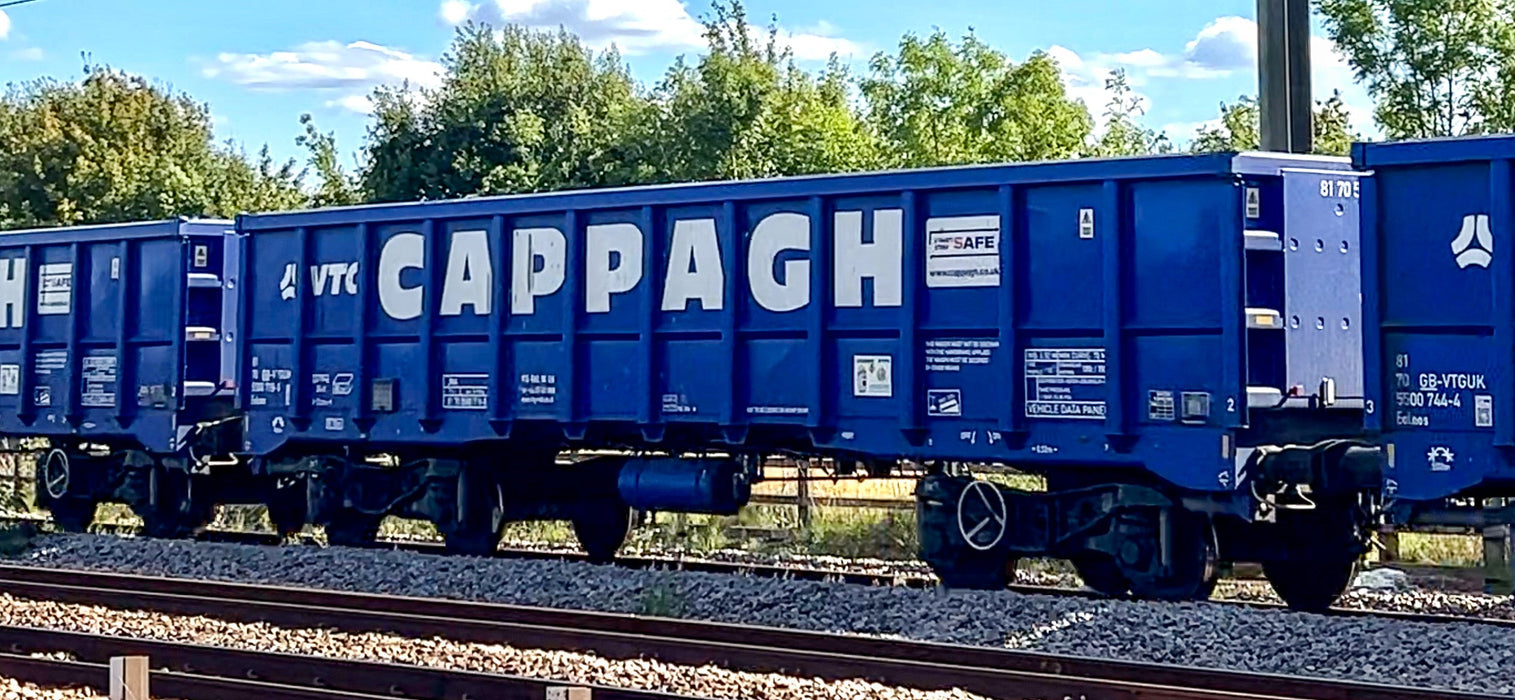 Pre-Order Cappagh Branded Royal Blue JNA - V5